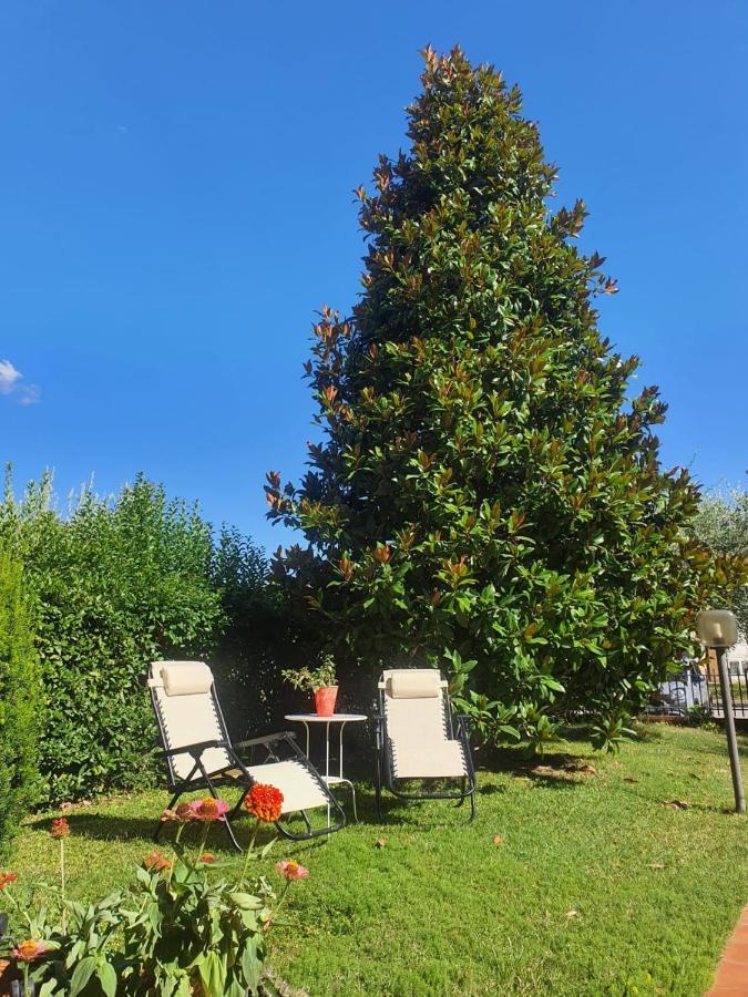 Villa Elsa, Cesena Zona Ippodromo ภายนอก รูปภาพ