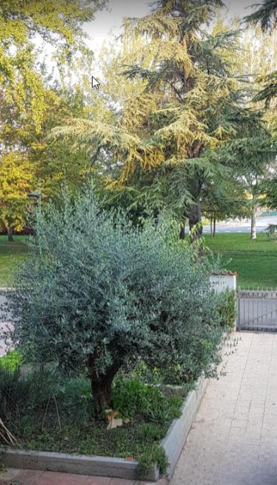 Villa Elsa, Cesena Zona Ippodromo ภายนอก รูปภาพ