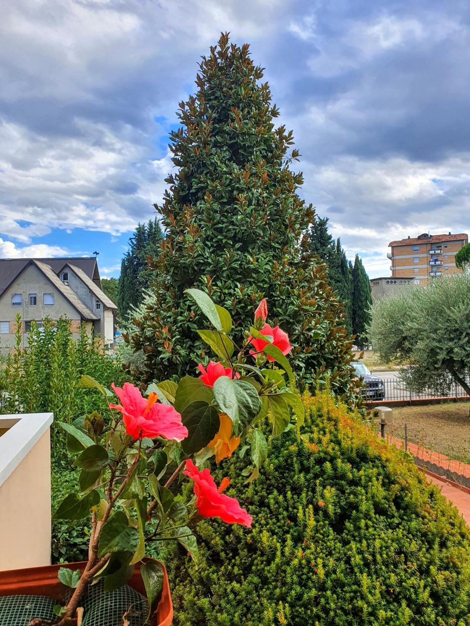 Villa Elsa, Cesena Zona Ippodromo ภายนอก รูปภาพ